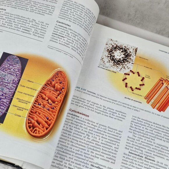 Anatomy & Physiology The Unity of Form & Function by Kenneth Saladin - Picture 9 of 12